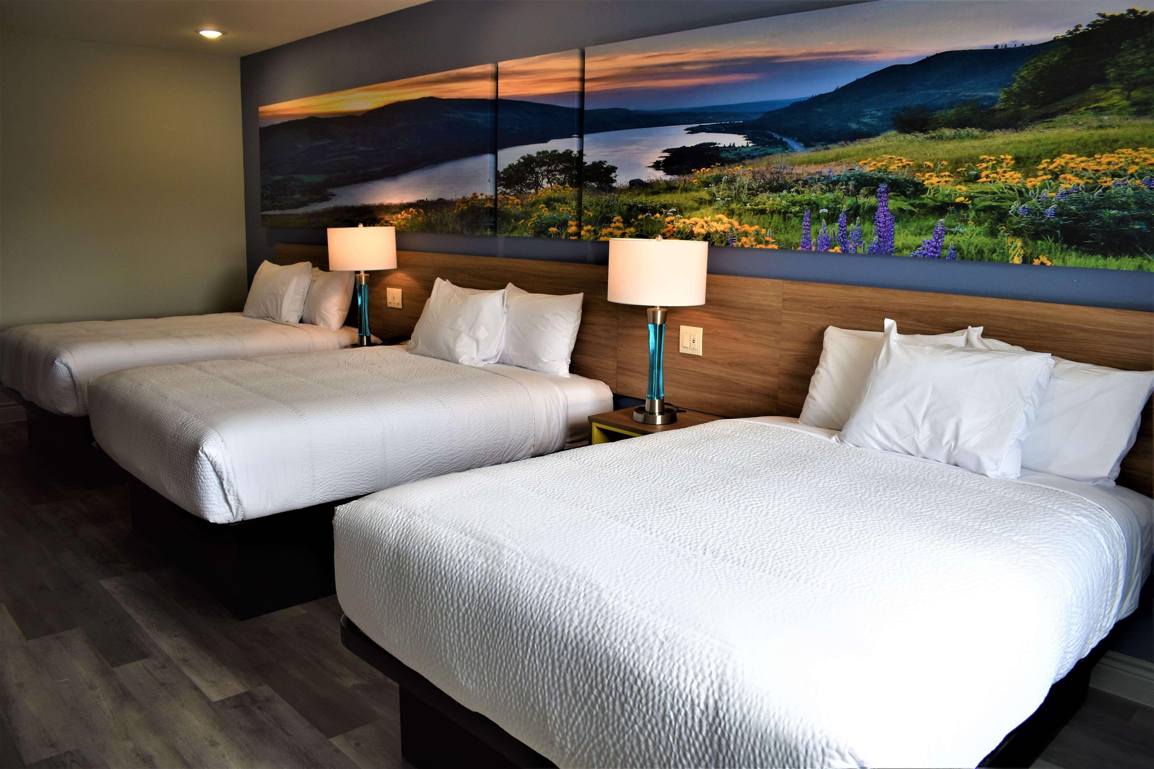 Days Inn & Suites By Wyndham Downtown/University Of Houston Extérieur photo