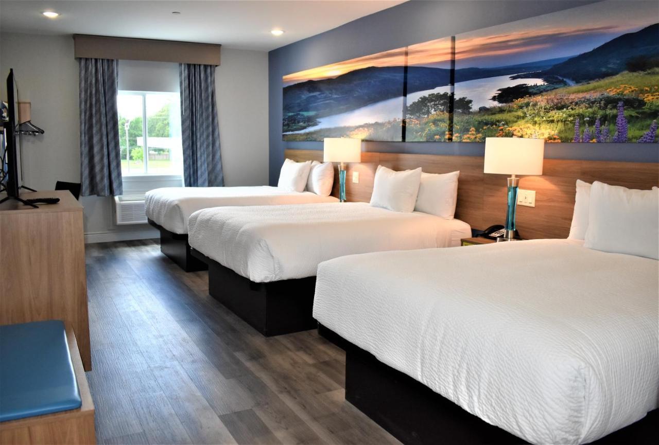 Days Inn & Suites By Wyndham Downtown/University Of Houston Extérieur photo